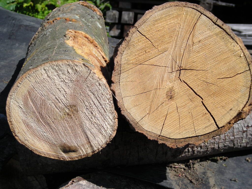 Seasoned Wood Vs Unseasoned Wood West Yorkshire Logs